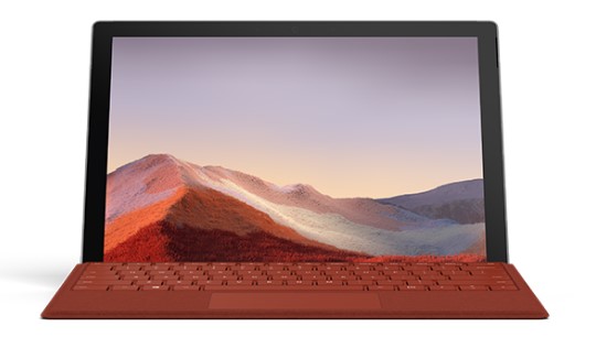 湾里清洁和维护 Surface